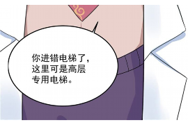 随县讨债公司